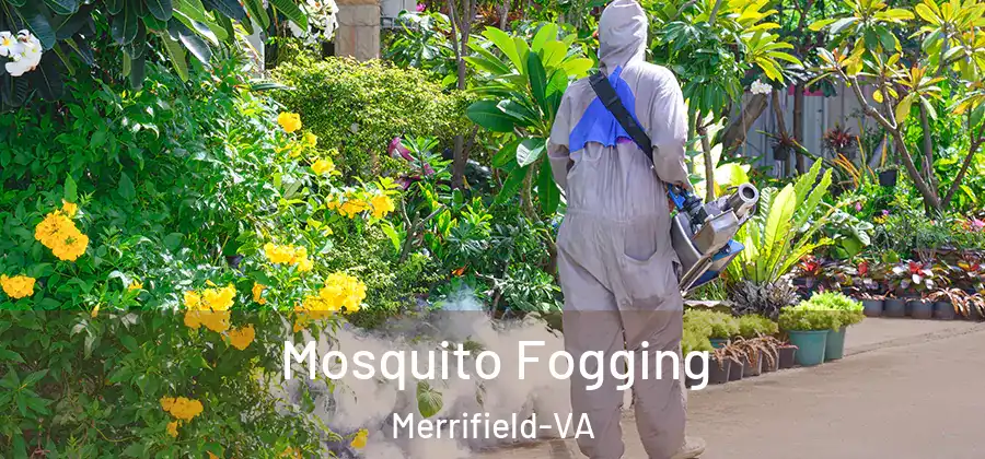 Mosquito Fogging Merrifield-VA