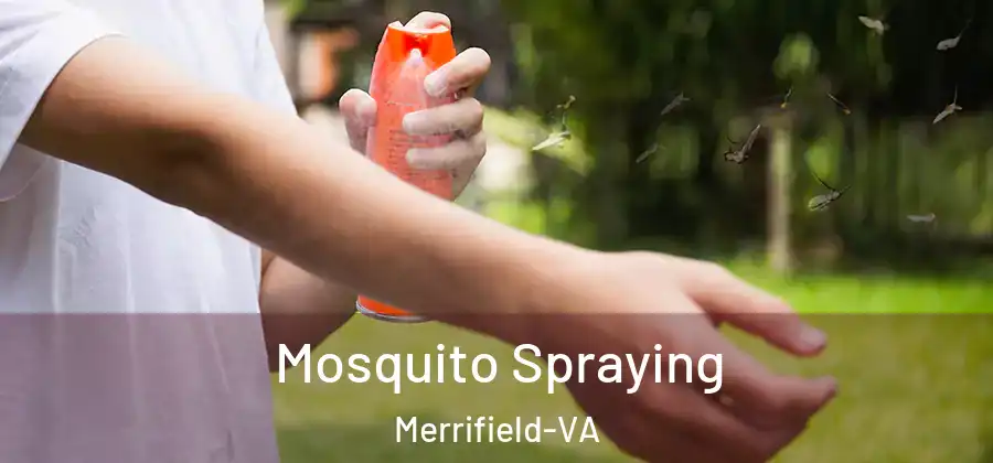 Mosquito Spraying Merrifield-VA