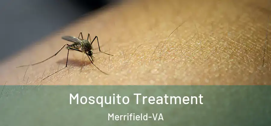 Mosquito Treatment Merrifield-VA