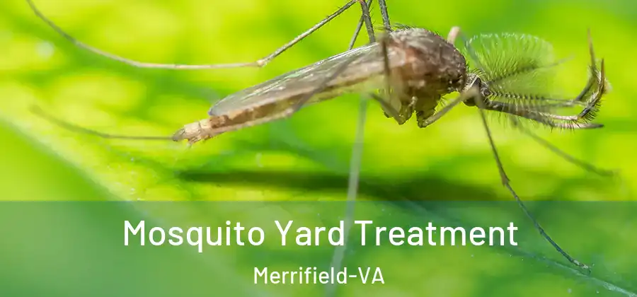 Mosquito Yard Treatment Merrifield-VA