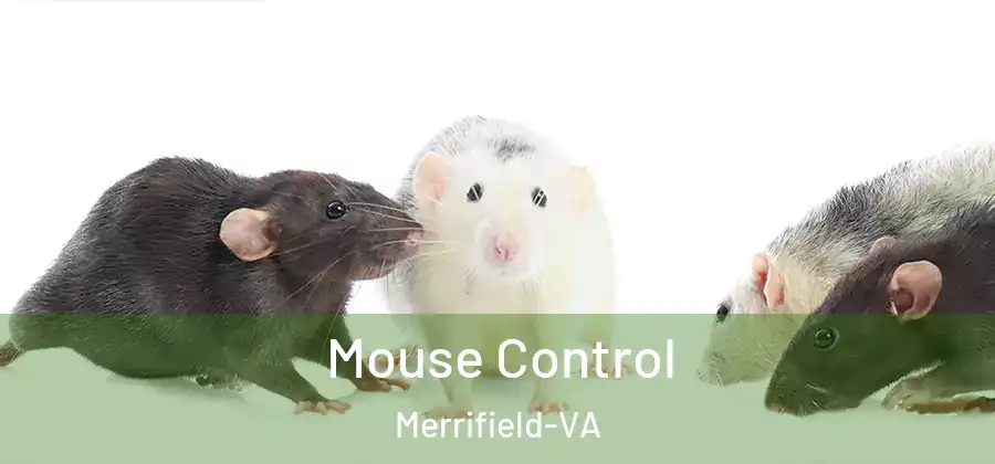 Mouse Control Merrifield-VA