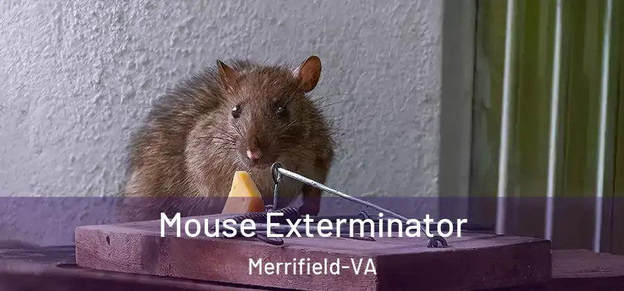 Mouse Exterminator Merrifield-VA