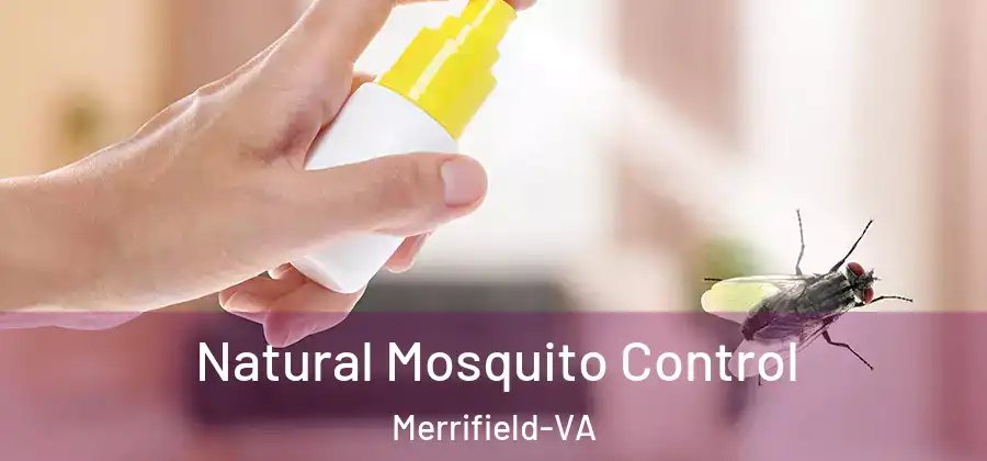 Natural Mosquito Control Merrifield-VA