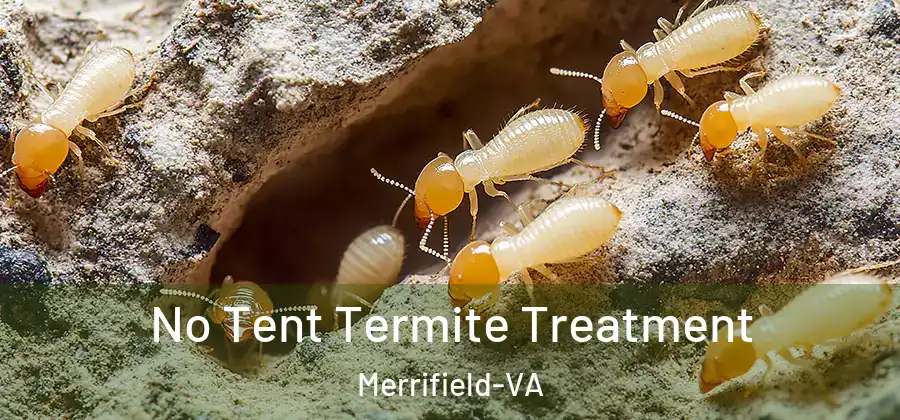 No Tent Termite Treatment Merrifield-VA