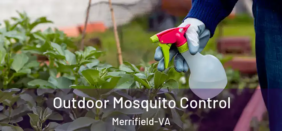 Outdoor Mosquito Control Merrifield-VA