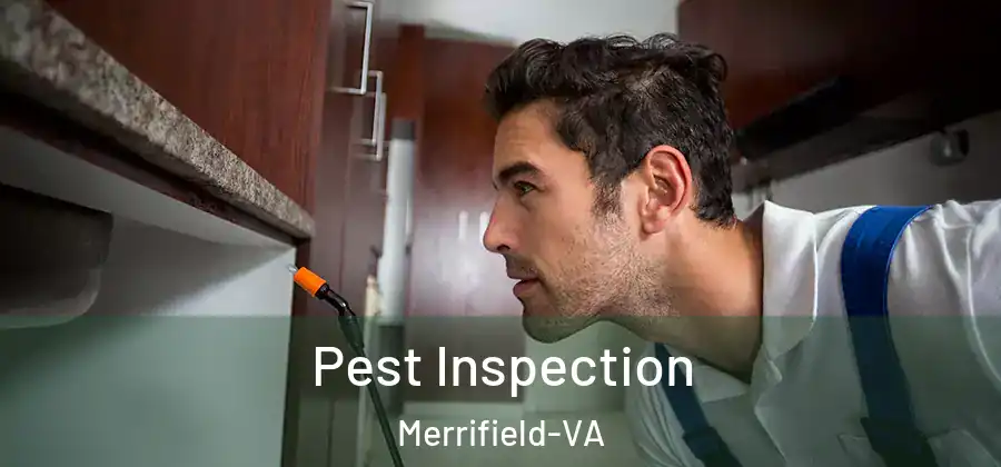 Pest Inspection Merrifield-VA