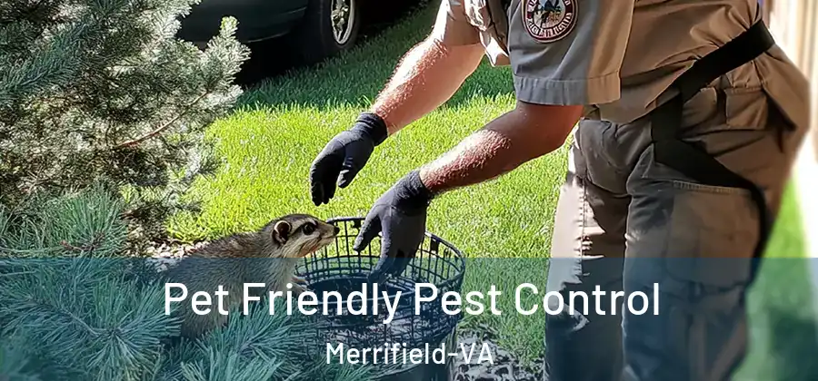 Pet Friendly Pest Control Merrifield-VA