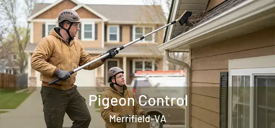 Pigeon Control Merrifield-VA