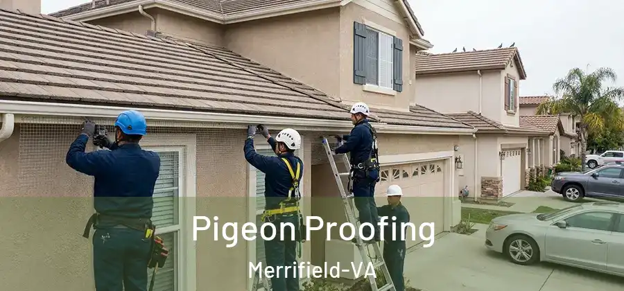 Pigeon Proofing Merrifield-VA