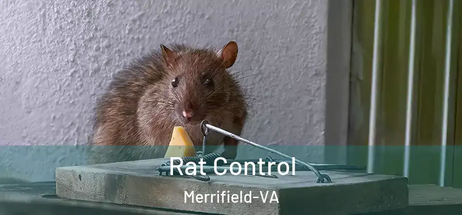 Rat Control Merrifield-VA