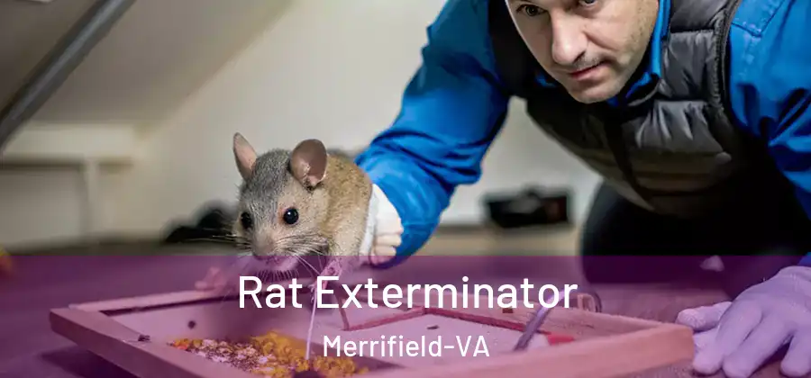 Rat Exterminator Merrifield-VA