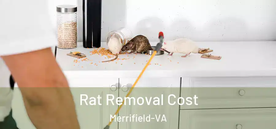 Rat Removal Cost Merrifield-VA
