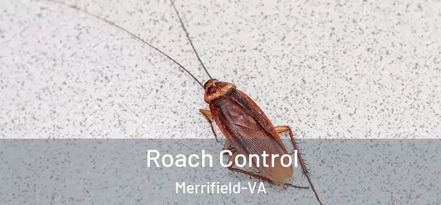 Roach Control Merrifield-VA