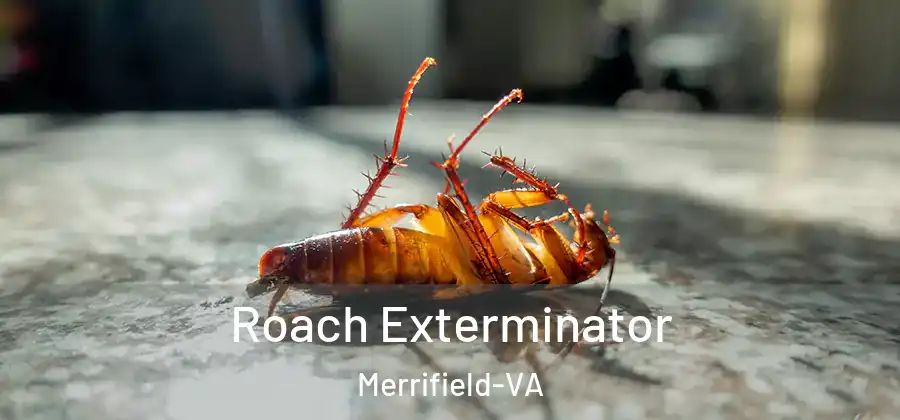  Roach Exterminator Merrifield-VA