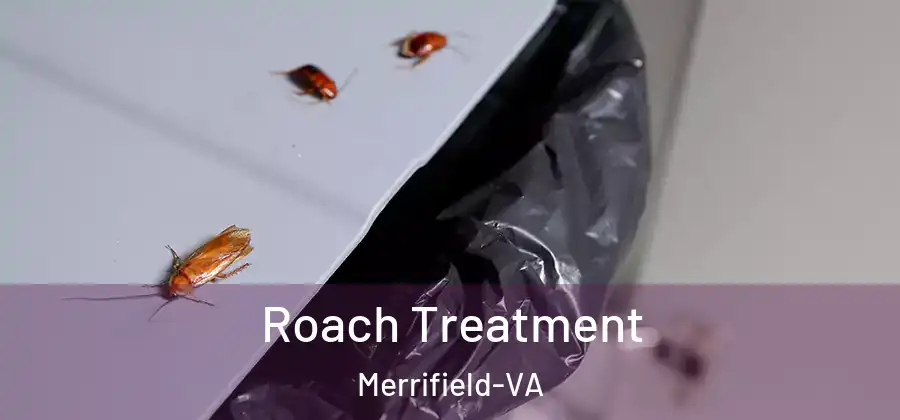  Roach Treatment Merrifield-VA