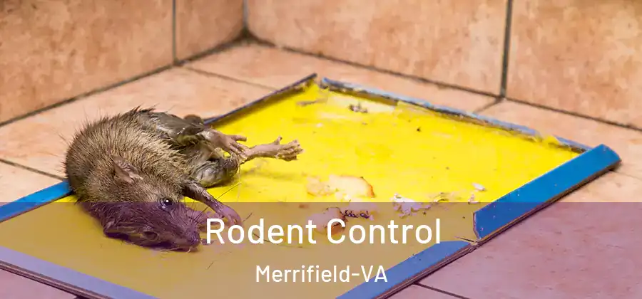 Rodent Control Merrifield-VA