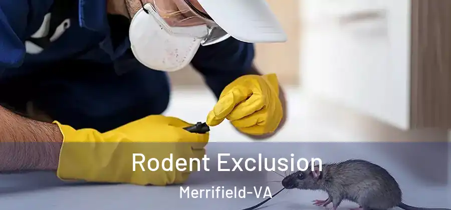 Rodent Exclusion Merrifield-VA