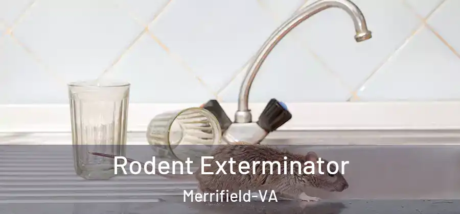 Rodent Exterminator Merrifield-VA