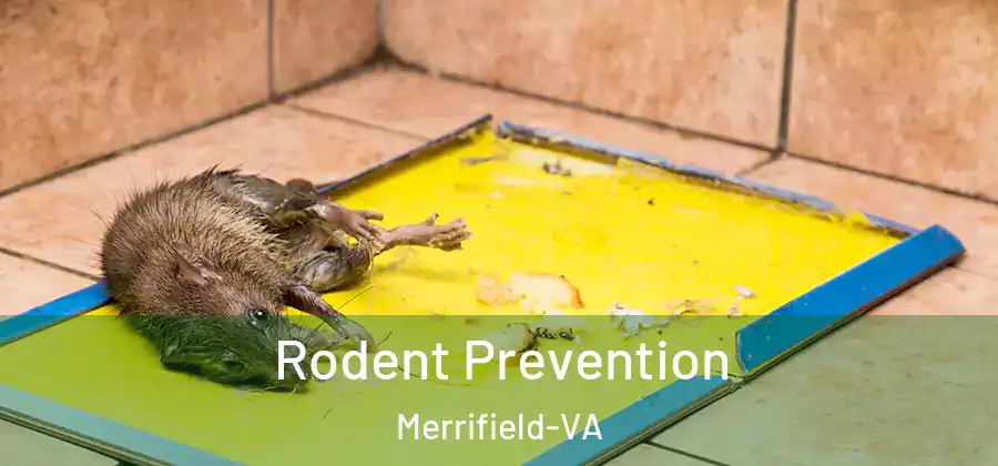 Rodent Prevention Merrifield-VA