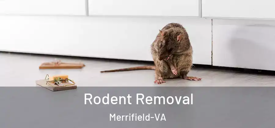 Rodent Removal Merrifield-VA