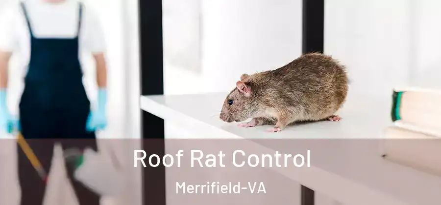 Roof Rat Control Merrifield-VA