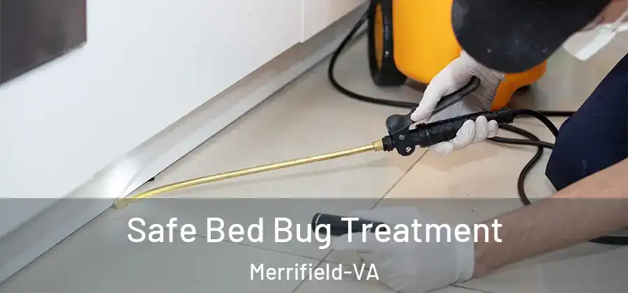 Safe Bed Bug Treatment Merrifield-VA