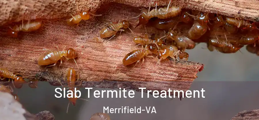 Slab Termite Treatment Merrifield-VA