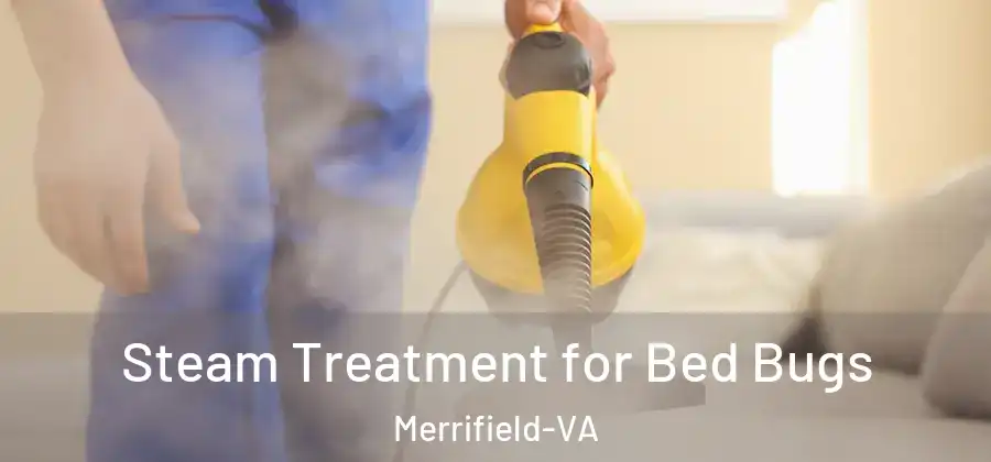 Steam Treatment for Bed Bugs Merrifield-VA