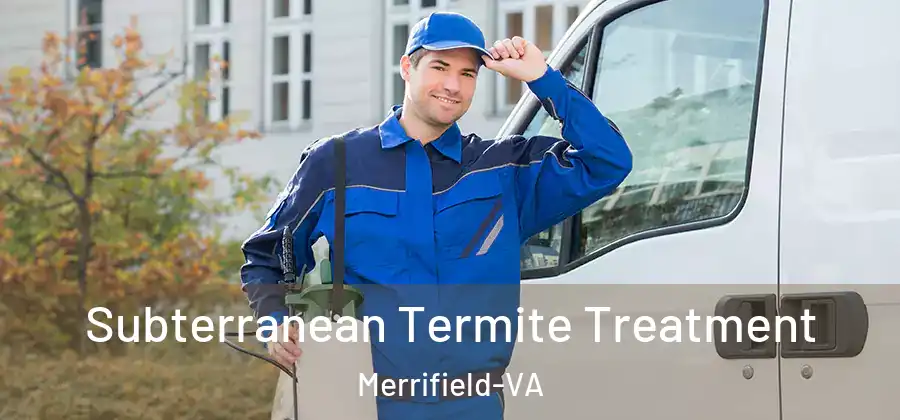 Subterranean Termite Treatment Merrifield-VA