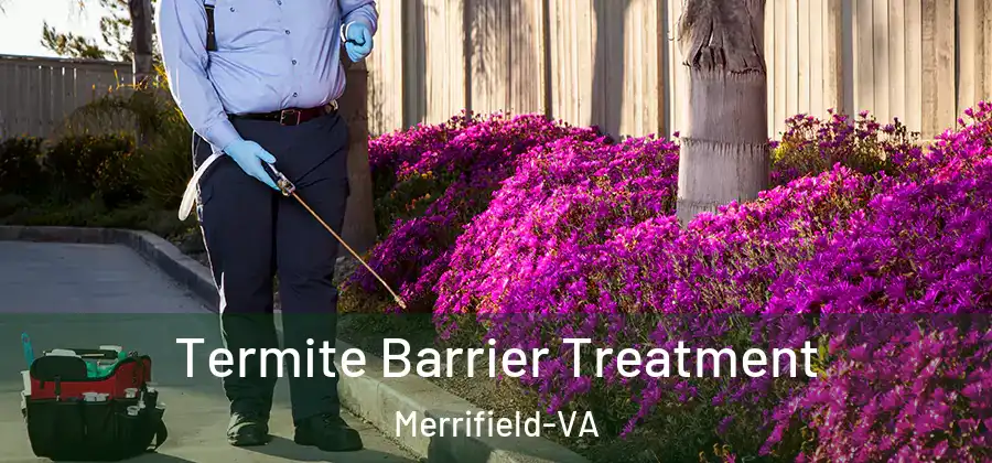 Termite Barrier Treatment Merrifield-VA