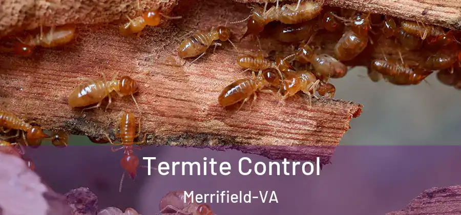 Termite Control Merrifield-VA