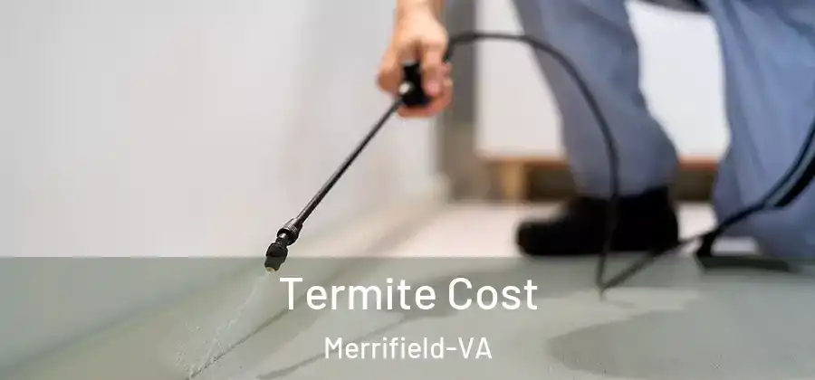  Termite Cost Merrifield-VA