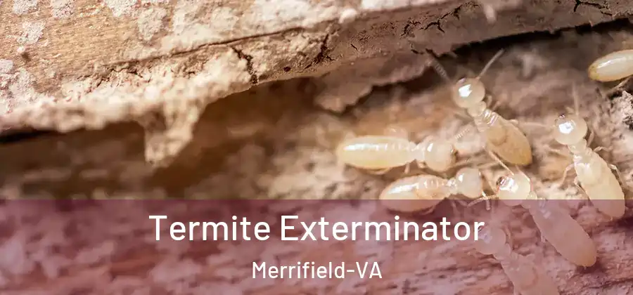  Termite Exterminator Merrifield-VA