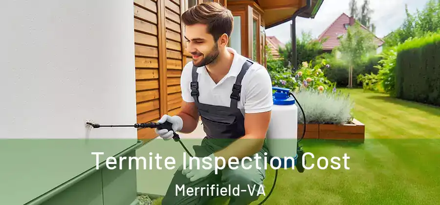 Termite Inspection Cost Merrifield-VA