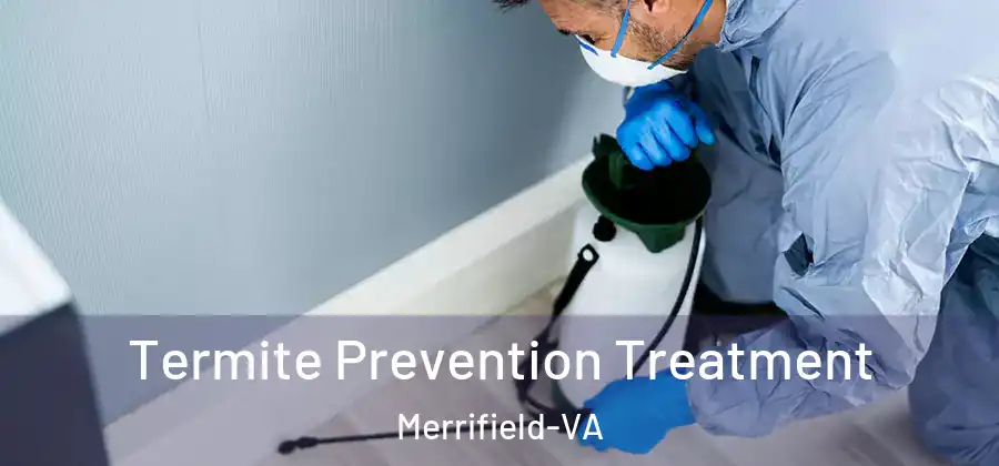 Termite Prevention Treatment Merrifield-VA