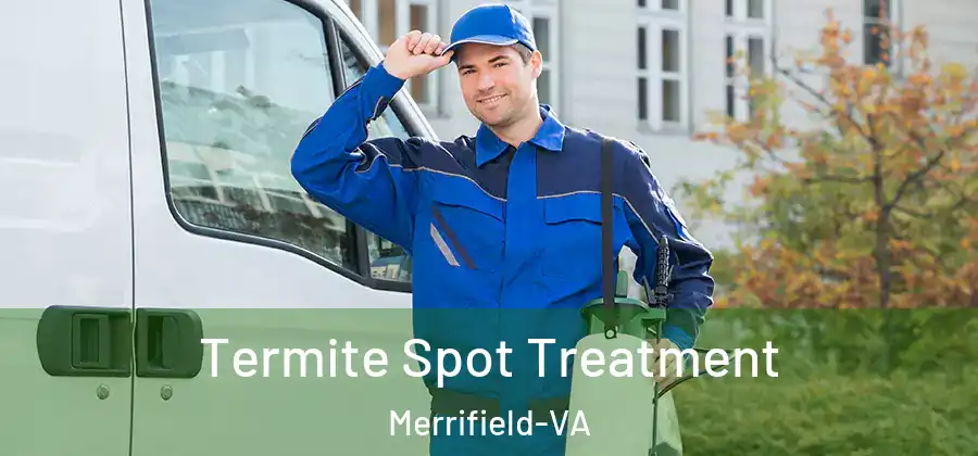 Termite Spot Treatment Merrifield-VA