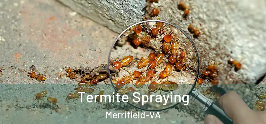  Termite Spraying Merrifield-VA