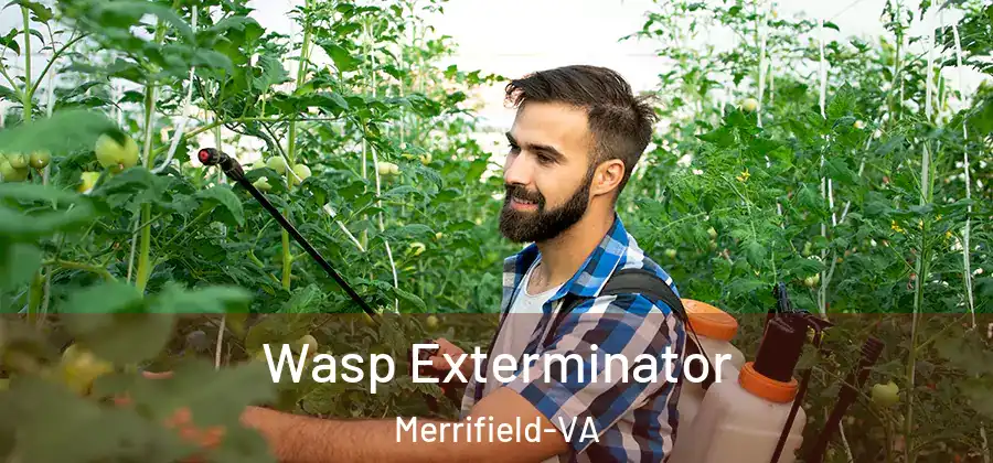 Wasp Exterminator Merrifield-VA