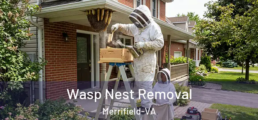 Wasp Nest Removal Merrifield-VA