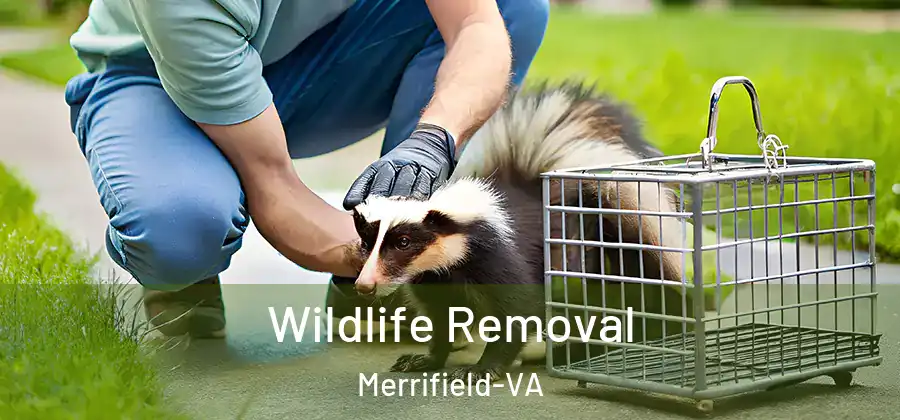 Wildlife Removal Merrifield-VA