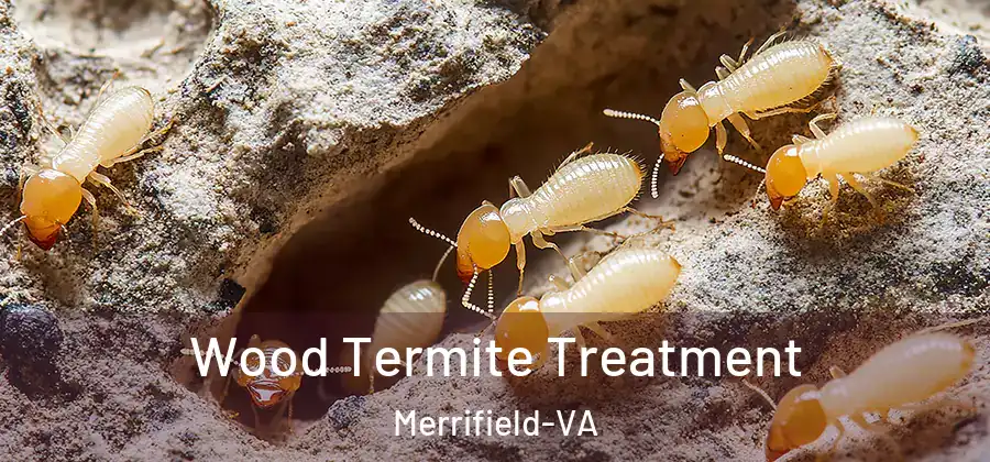 Wood Termite Treatment Merrifield-VA