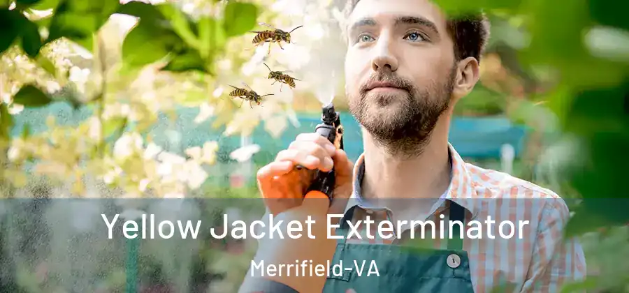 Yellow Jacket Exterminator Merrifield-VA
