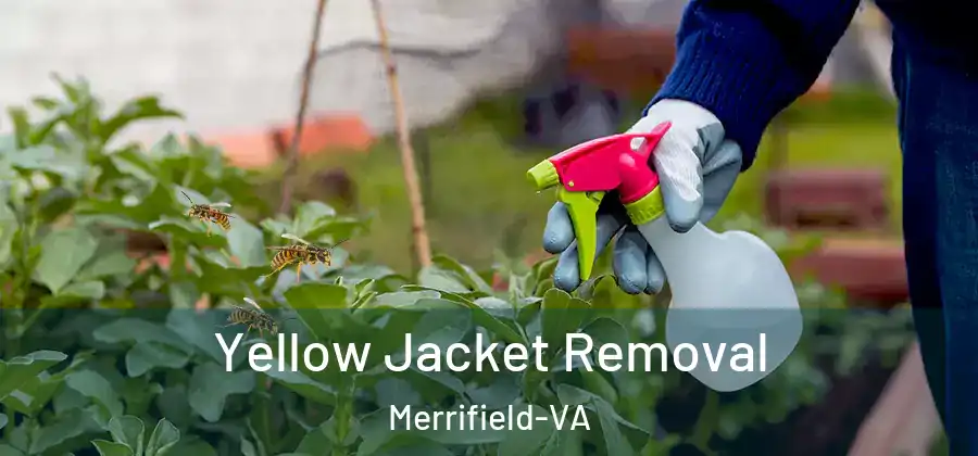 Yellow Jacket Removal Merrifield-VA